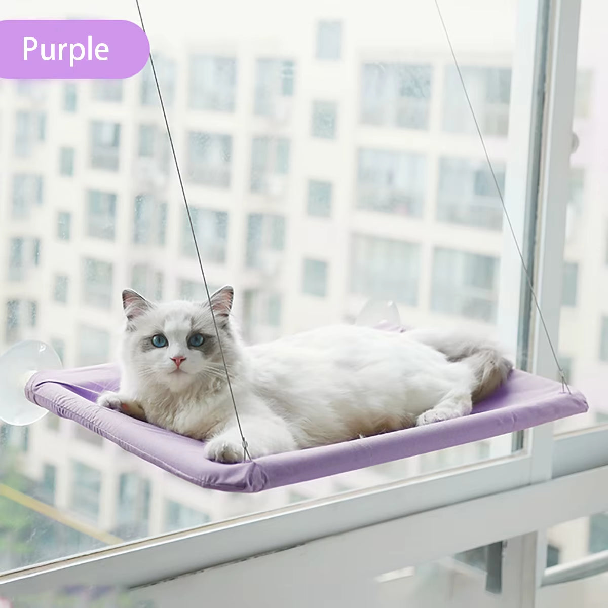 Cozy Window Cat bed