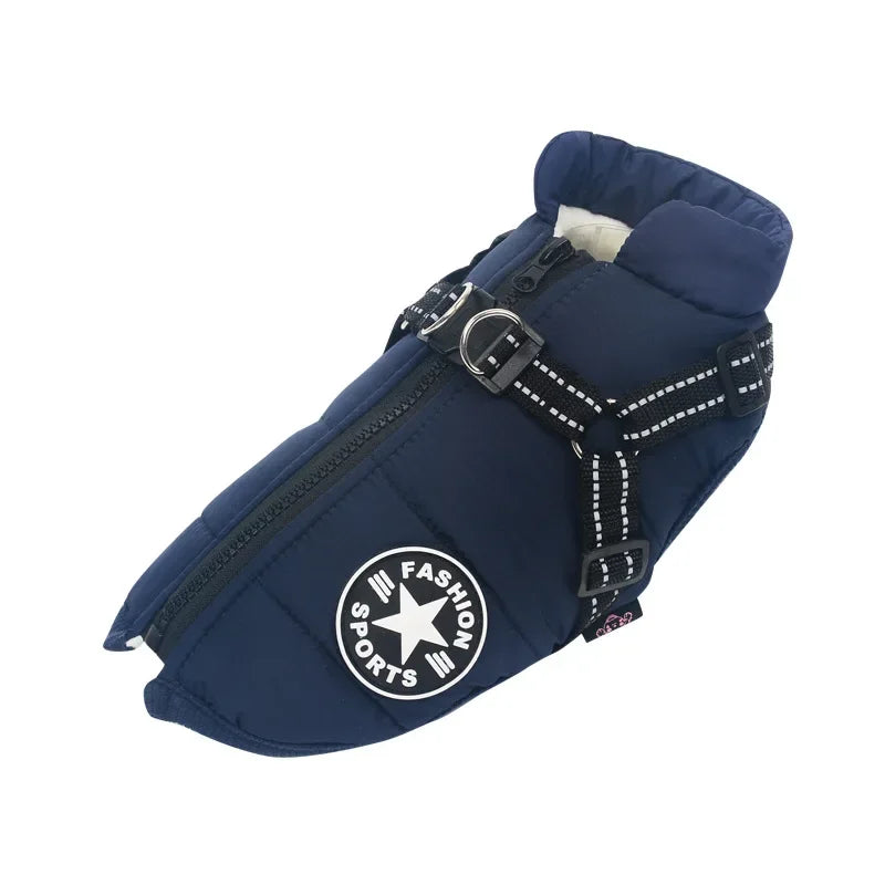 All-Weather Jacket & Harness