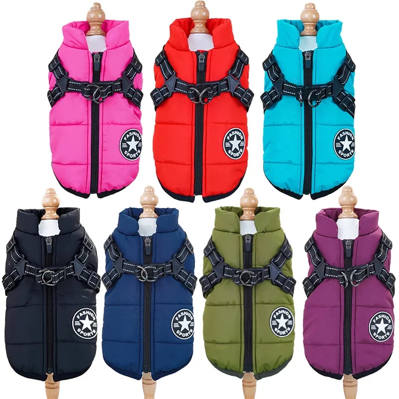 All-Weather Jacket & Harness