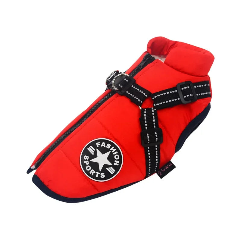 All-Weather Jacket & Harness