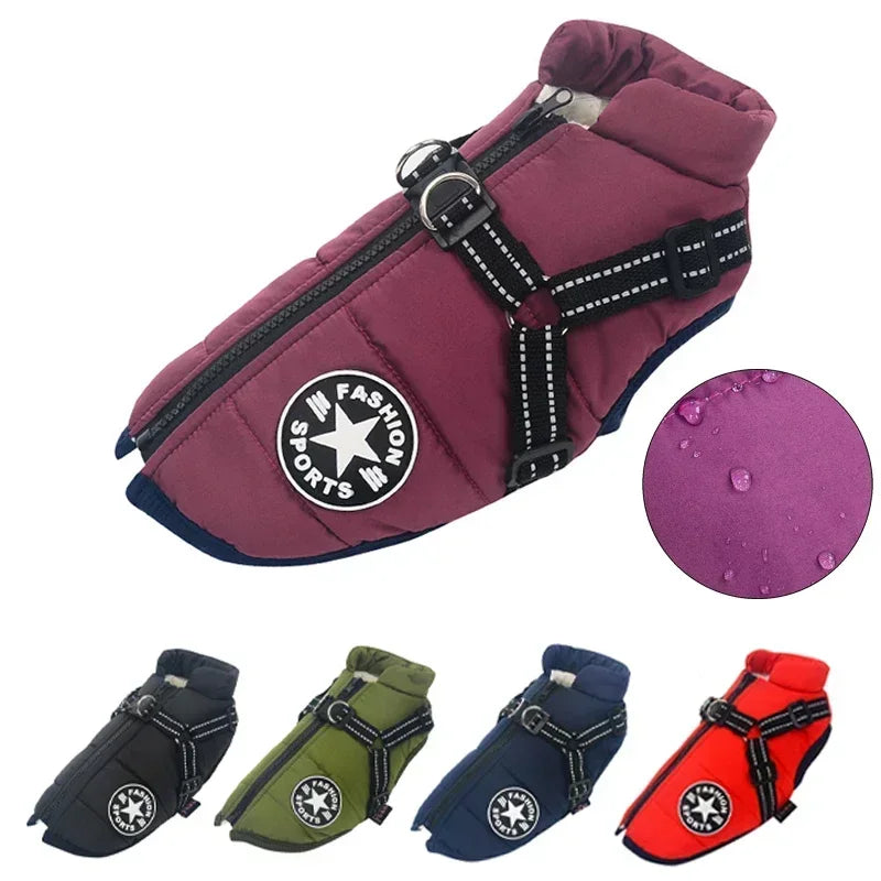 All-Weather Jacket & Harness