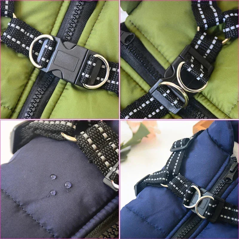 All-Weather Jacket & Harness