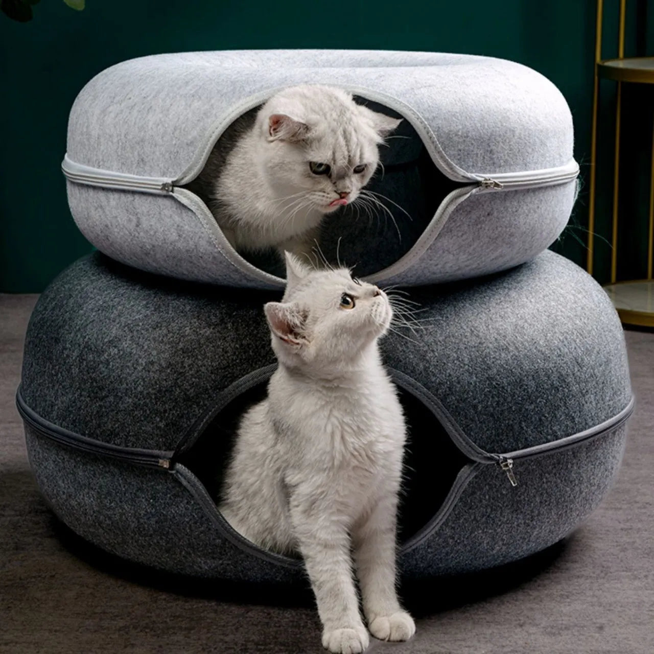 2-in-1 Cozy Donut Cat Bed & Play Tunnel