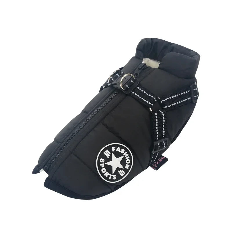 All-Weather Jacket & Harness